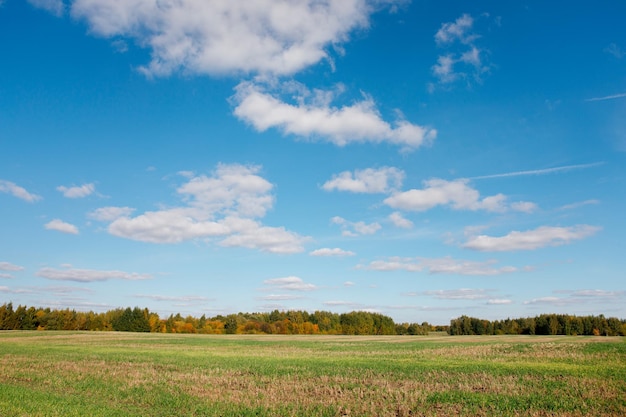 Un champ d'herbe verte avec un ciel bleu et des nuages blancs dans une photo de paysage