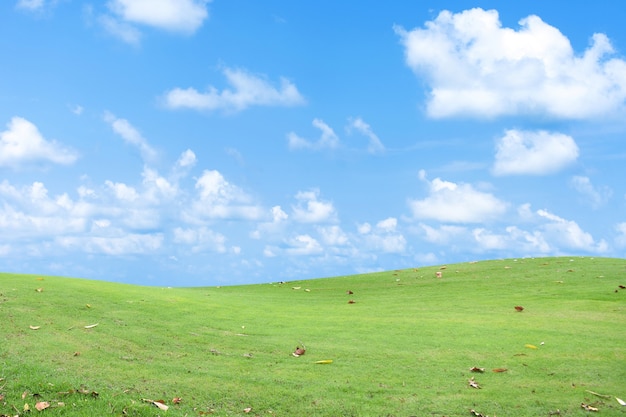 Champ d'herbe verte avec ciel bleu et nuages.