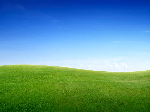 Champ d'herbe verte et ciel bleu vif