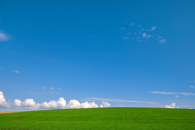 Photo champ d'herbe verte sur les collines et ciel bleu avec des nuages