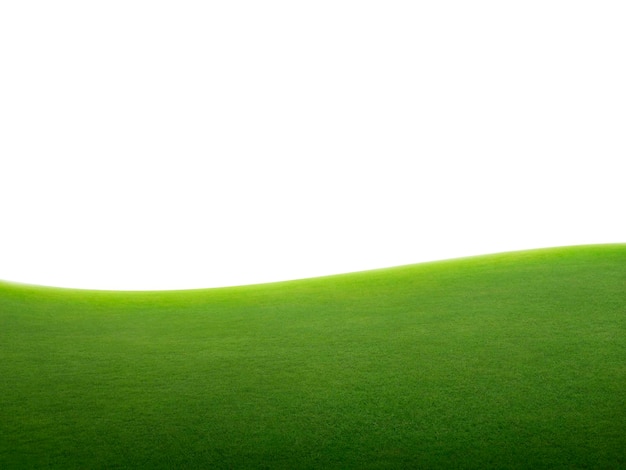 Champ d'herbe verte isolé sur fond blanc