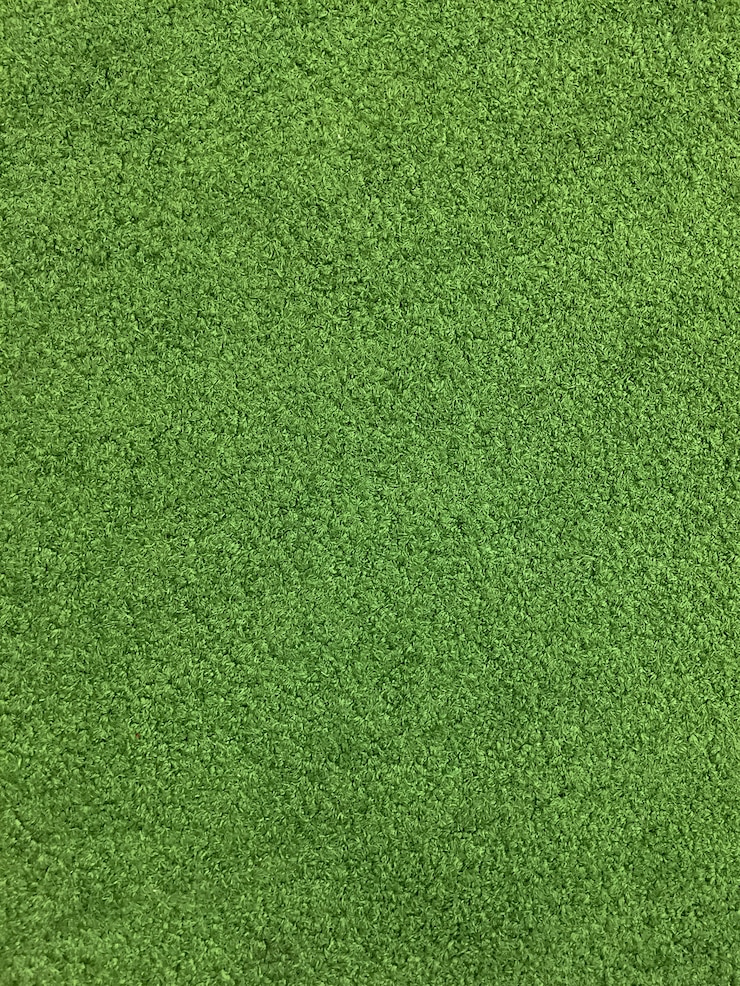 Photo champ d&#39;herbe verte