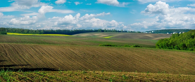 Champ labouré agricole et colza jaune en fleurs à l'horizon