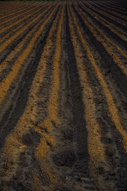 Photo champ labouré. agriculture, sol avant semis. texture de terre fertile, paysage de champ rural.