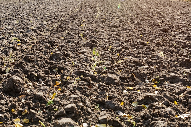 Champ labouré après la récolte en automne.