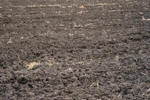 Champ labouré après la récolte préparé pour la nouvelle plantation de cultures Panorama de terres préparées pour la plantation et la culture de cultures