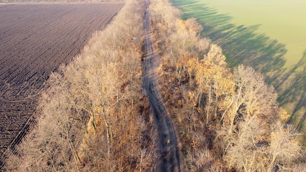 Champ labouré et arbres sans feuilles allumé la lumière du soleil aux beaux jours de printemps d'automne terrain labouré cher