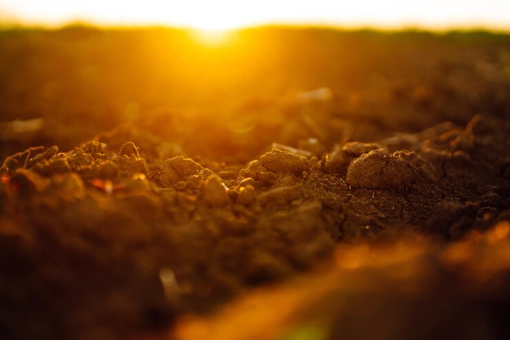 Photo champ labouré au coucher du soleil sol agricole avant le semis texture des terres fertiles paysage de champ rural