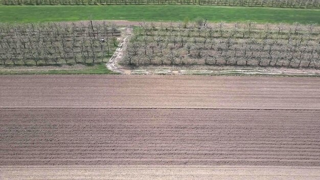 Photo champ labouré au printemps image aérienne d'une