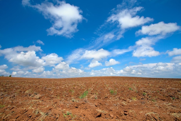 Champ labouré avec un beau ciel bleu