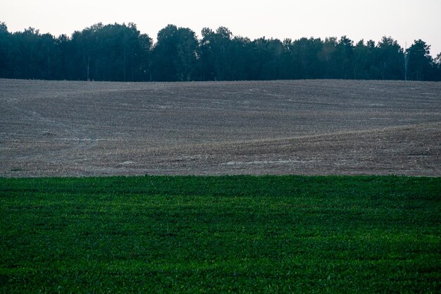 Un champ labouré contre le ciel La saison de plantation des cultures dans un champ de blé La préparation du champ pour la plantation de colza, de blé, de seigle et d'orge dans les zones rurales