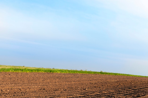 Champ labouré et herbe verte en arrière-plan du champ agricole. Ciel bleu sur une journée ensoleillée de printemps