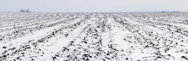 Le champ labouré pour l'hiver est couvert de la première neige