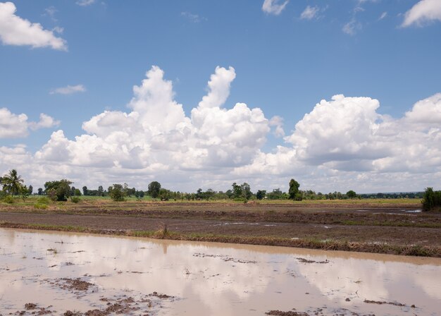 Champ labouré Prêt pour la plantation et le ciel bleu