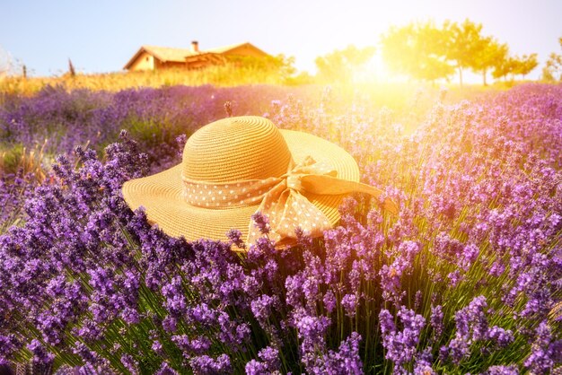 Champ de lavande avec chapeau de paille d'été