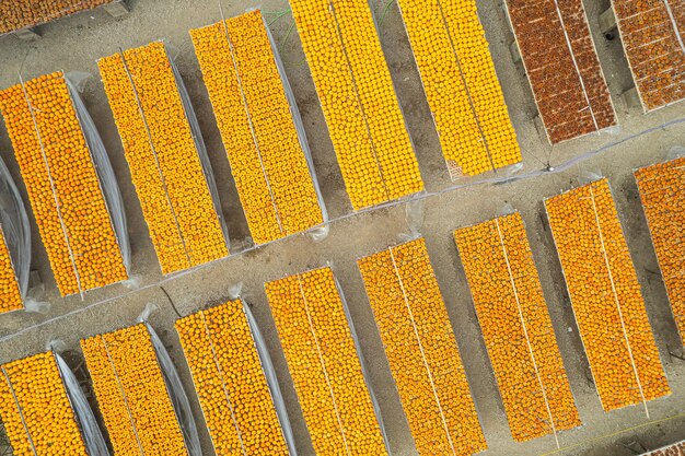 Photo un champ de maïs qui a une teinte jaune sur lui