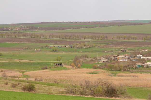 un champ avec des maisons et des arbres en arrière-plan