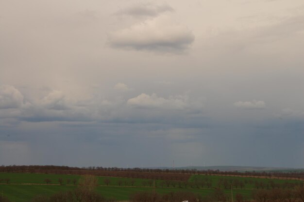 un champ avec un mouton blanc et un ciel nuageux en arrière-plan