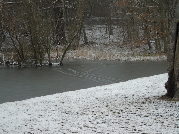 Champ de neige couvert par une rivière