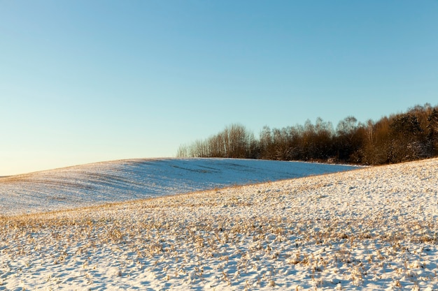 Photo champ avec de la neige en hiver