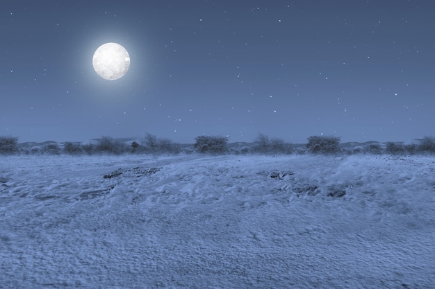 Champ de neige avec la pleine lune la nuit