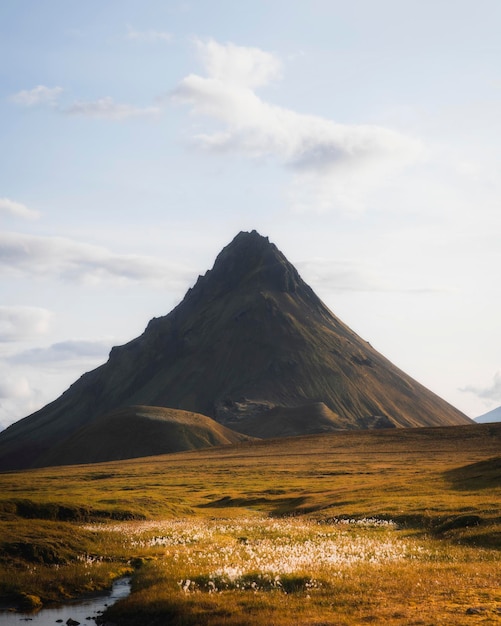 Champ d'or avec une montagne pointue