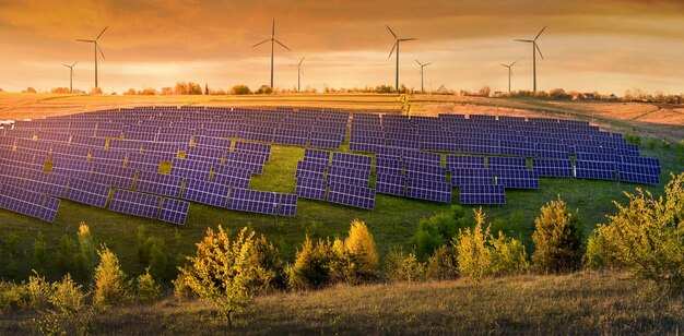 Champ de panneaux solaires et éoliennes sous le ciel sur le concept d'énergie alternative de paysage d'été