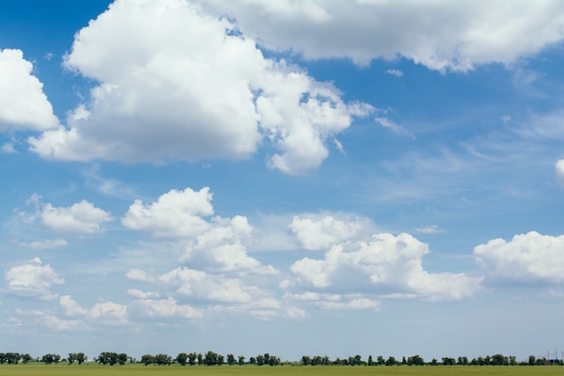 Champ de paysage d'été et gros nuages