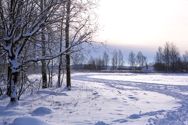 Champ de paysage d'hiver