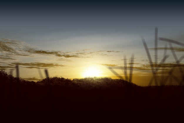 Champ de prairie avec un ciel coucher de soleil