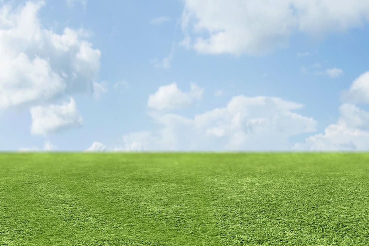 Photo champ de prairie avec un fond de ciel bleu