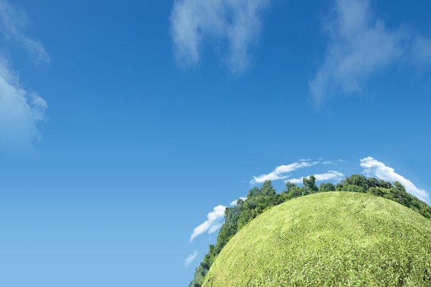 Champ de prairie