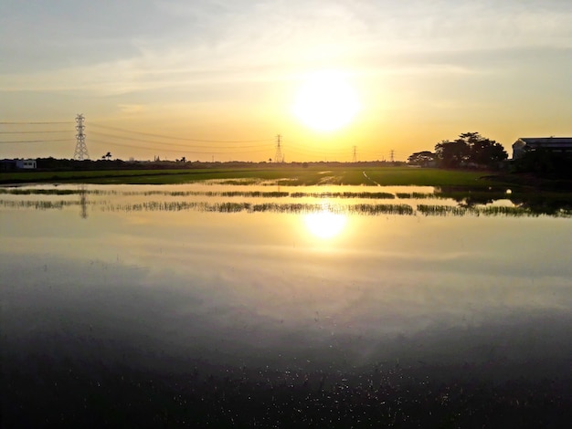 Champ de riz coucher de soleil