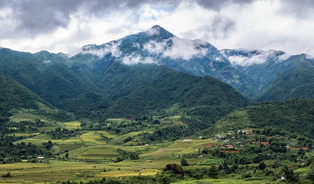 Champ de riz dans la montagne de la vallée avec village de tribu