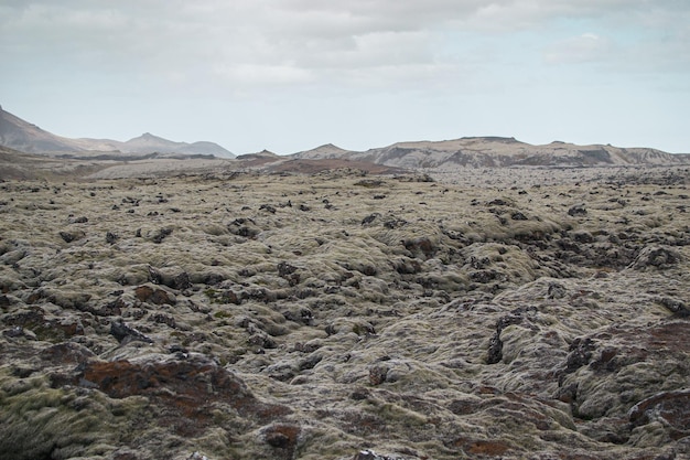 Un champ de rochers avec une montagne en arrière-plan