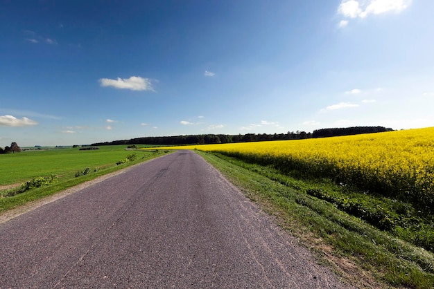 Champ de route d'été