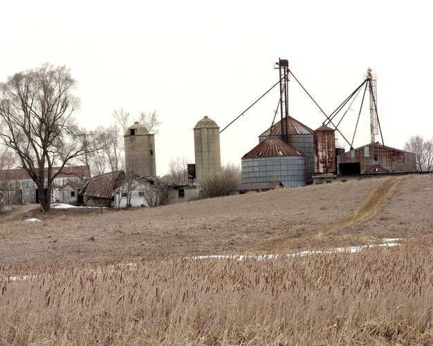 Champ de scène de ferme et silos à grains