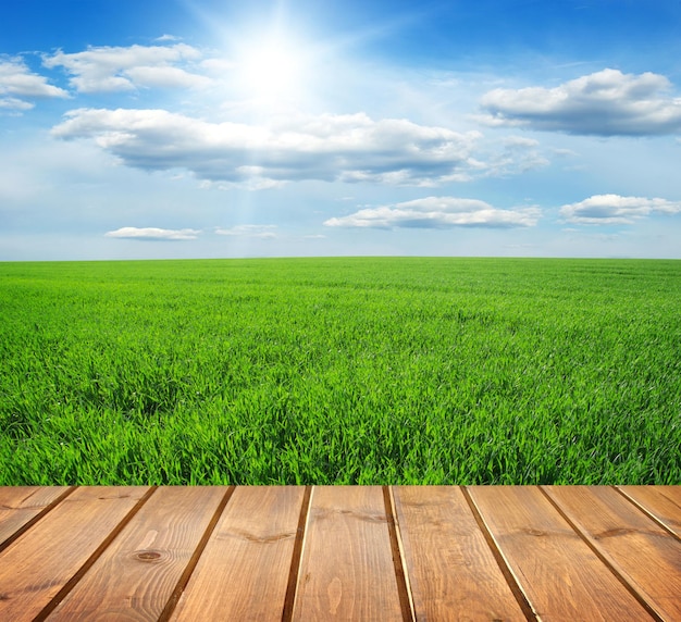 Photo champ sous ciel bleu plancher de planches de bois