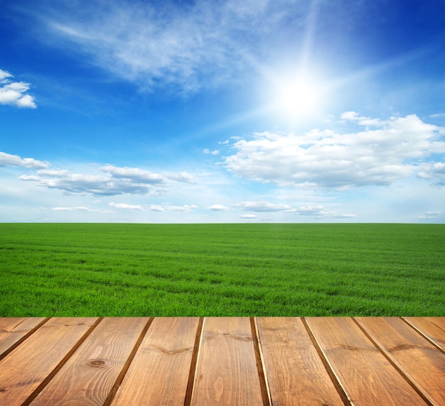 Champ sous ciel bleu plancher de planches de bois