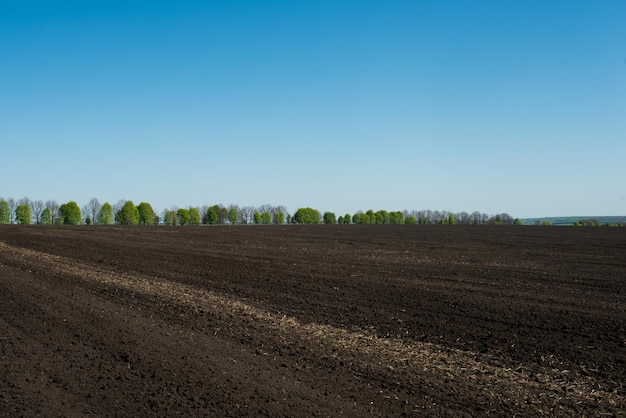 Champ terre terre printemps