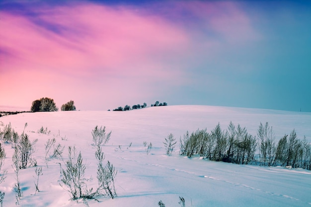 Champ vallonné couvert de neige Paysage rural d'hiver enneigé pendant le coucher du soleil avec un ciel coloré