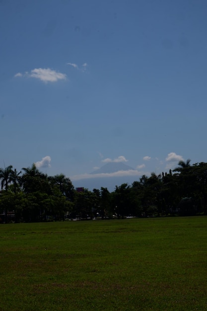 Photo un champ vert avec un ciel bleu et un nuage dans le ciel