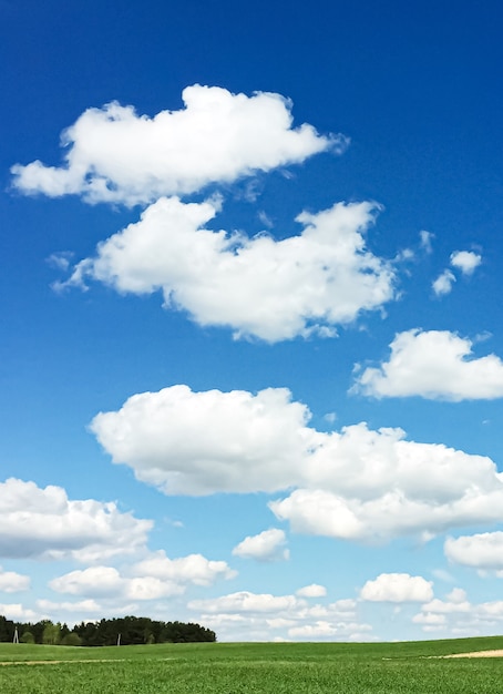 Champ vert et ciel bleu avec des nuages belle prairie comme nature et fond environnemental