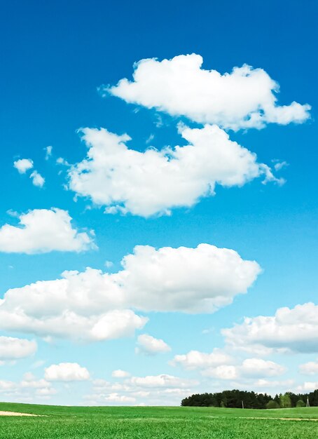 Champ vert et ciel bleu avec des nuages belle prairie comme nature et fond environnemental