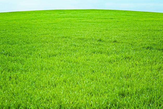 Champ vert et ciel bleu avec des nuages belle prairie comme nature et fond environnemental