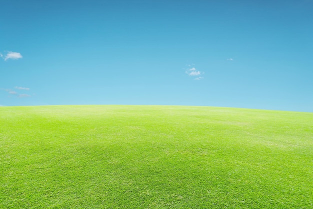 Photo champ vert et ciel bleu