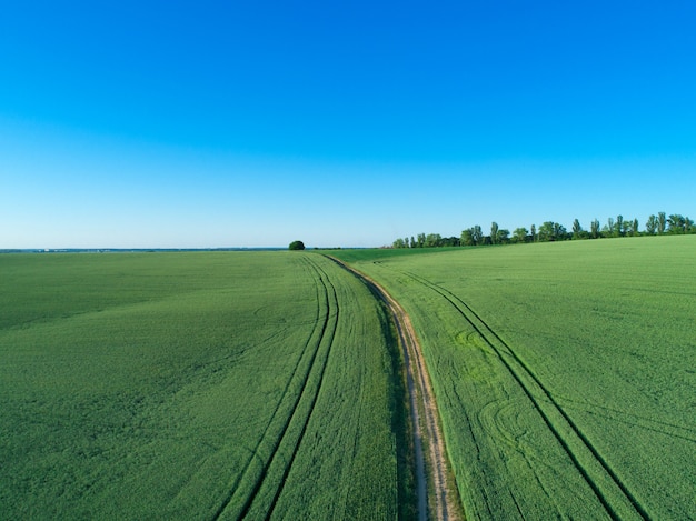 Champ vert et ciel bleu