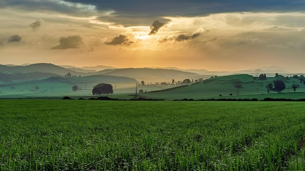 Un champ vert avec le ciel nuageux du matin avec des collines