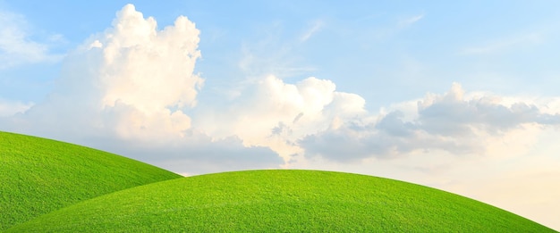 Champ vert de colline de pelouse et cloudsField avec le blé vert et le ciel bleu