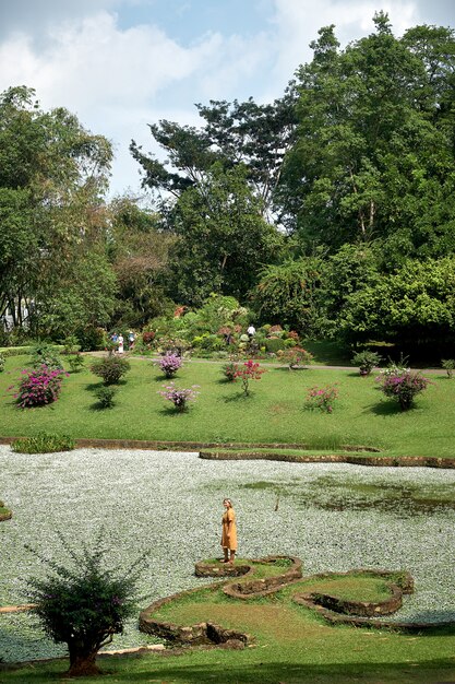 Champ vert et fleurs dans King Garden of Kandy